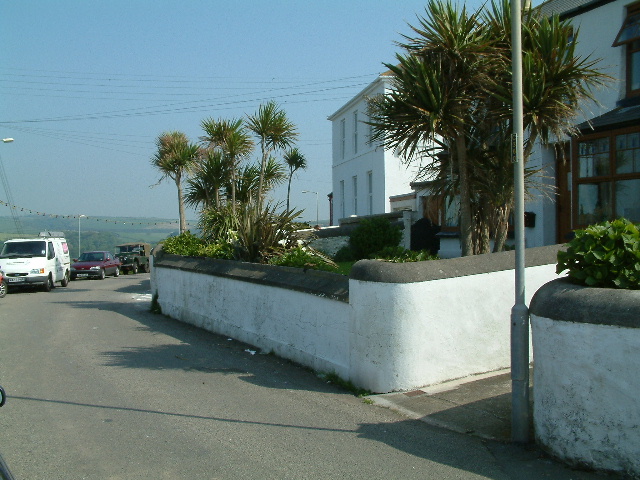 Palm trees in Peverell Terrace, Porthleven. 30 May 2003.